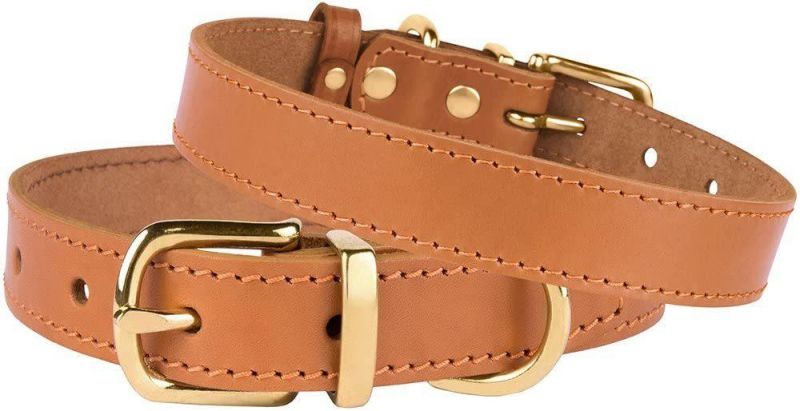 Genuine Leather Dog Collar Adjustable Durable Pet Collars for Dogs Small Medium Large Puppy Black Brown Red Pink Purple Green