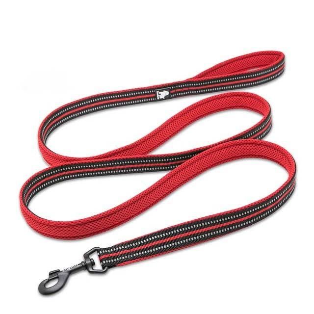 High Guarantee Supply Adjustable Pet Leash Colourful