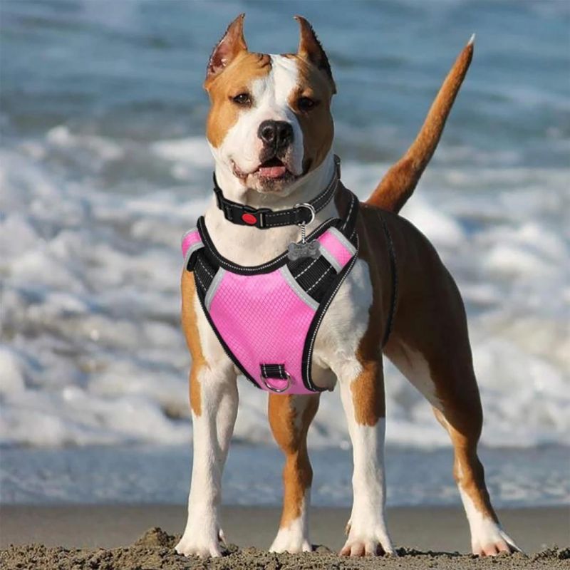 Reflective Dog Harness with Breathable Mesh Lining with Soft Sponge Padding Plate