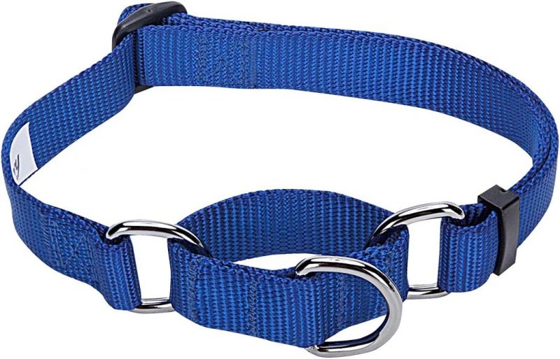 Durable Martingale Collars with Multiple Colors