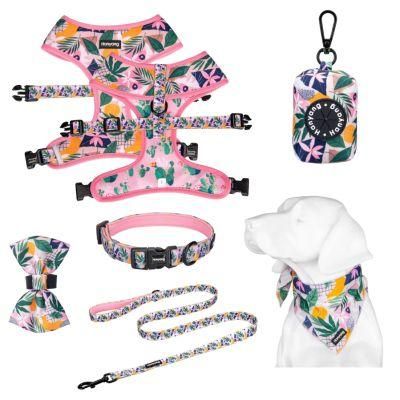 Free Samples Customized Printing Design Dog Harness Set Reversible Pet Harness Dog Harness