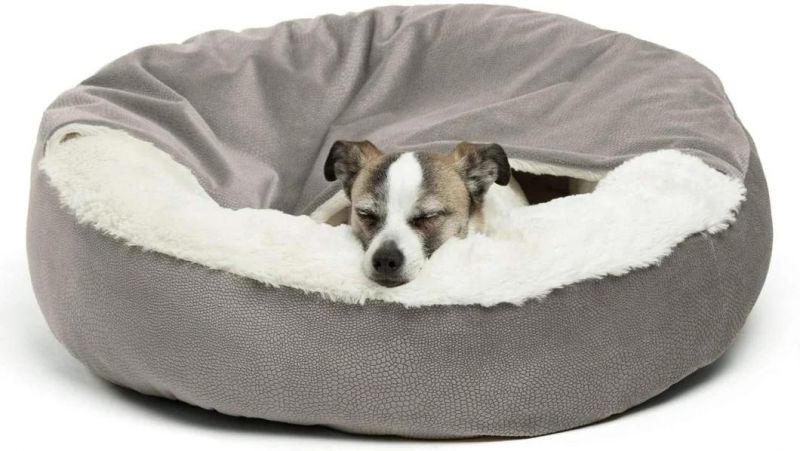 Machine Washable Water-Resistant Bottom Luxury Dog Memory Foam Bed
