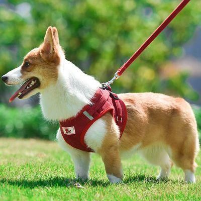 Cute Pet Dog Lovely Comfortable Pets New Inventions Reflective Corduroy Dog Harness