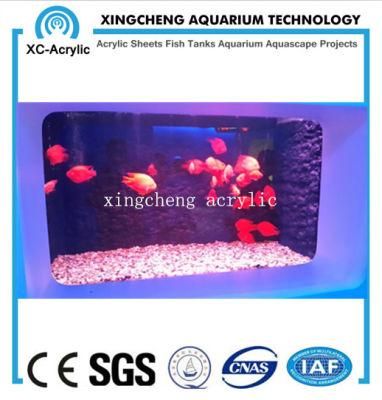 Customized Aquarium Sheet Acrylic Material Shark Tank Project
