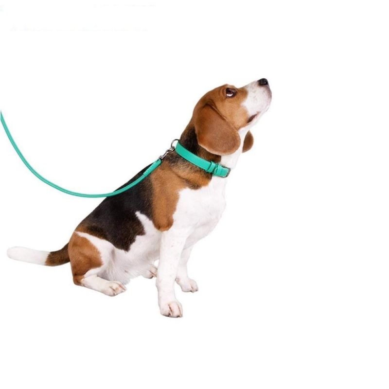 PU Leather Dog Collar with Durable Steel D-Ring and Metal Buckle with Multiple Colors