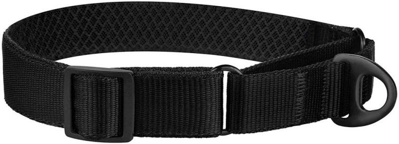 Soft Padded Durable Training Pet Collars with Multiple Colors