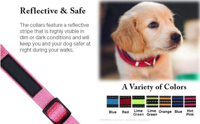 Designer Dog Collars Buckle Stripe Collar for Safe Walking