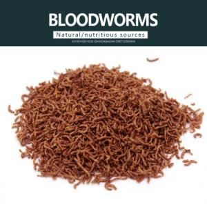Freeze Dried Bloodworm