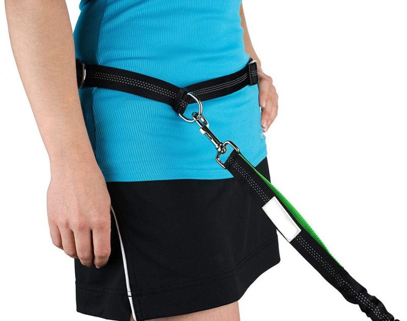 Dual Handle Reflective Shock Absorbing Bungee Dog Leash