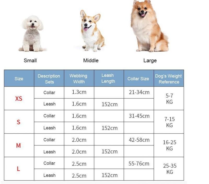 Custom Size Eco-Friendly Fashion Nylon Material Dog Collars