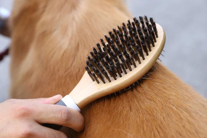 Pet Accessories Grooming Dog Cleaning Brush