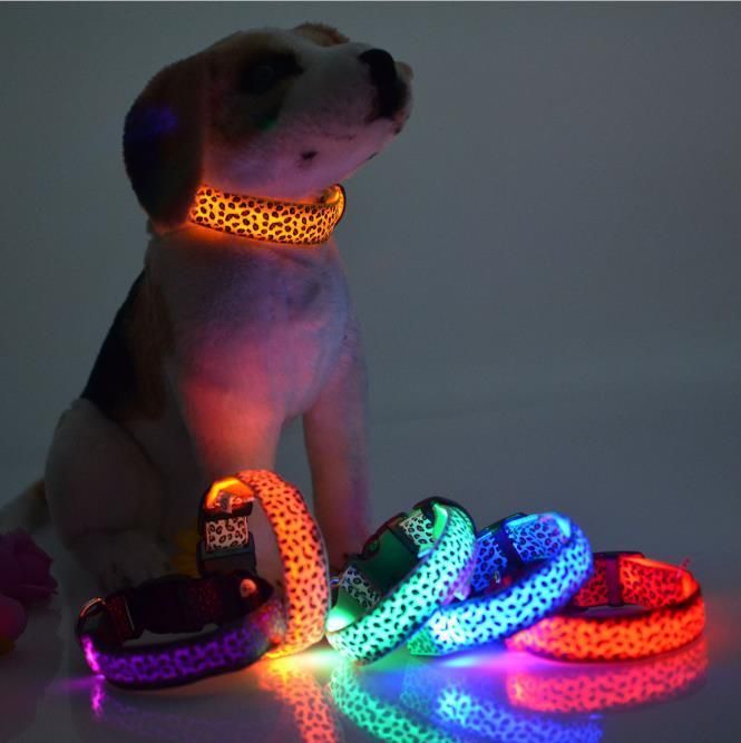 Adjustable USB Rechargeable Glow Light up LED Pet Dog Collar for Small Medium Dog