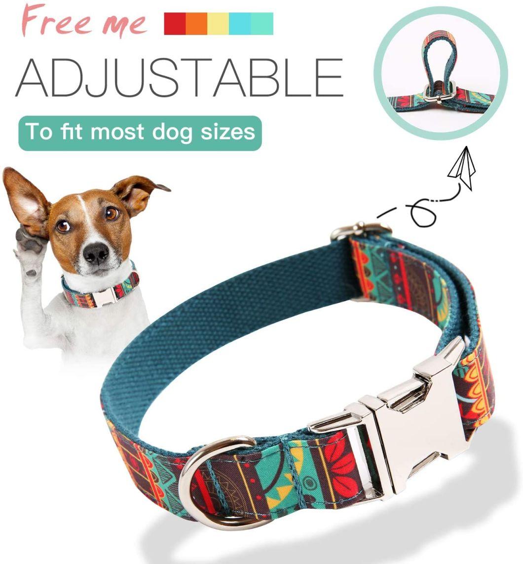 Martingale Heavy Duty Nylon Dog Collar for Puppy Small Medium Large Dog