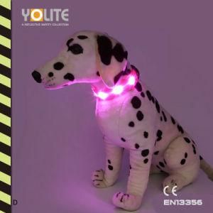 Bulk Sale of Reflective Safety Pets Products, LED Pets Collar