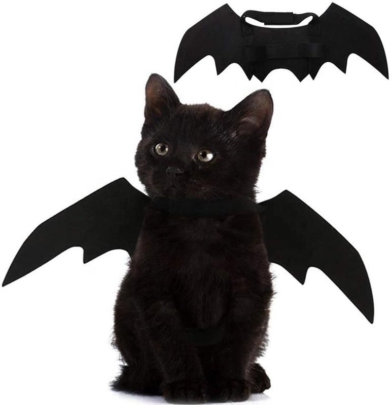 Pet Cat Accessories Bat Wings Dog Accessories China Factory