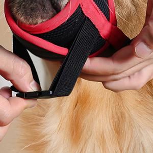 Anti-Biting Barking Secure Dog Muzzle Mesh Breathable Adjustable Strap Dog Mouth Cover Dog Muzzle for Ready to Send