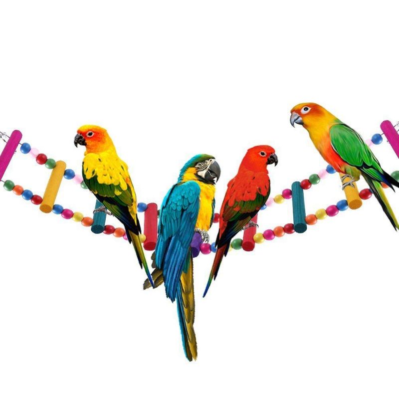 Bird Ladder Toys Coloured Flexible Parrot Swing Bridge Wooden Cockatiel Cage Hanging Climbing Ladder