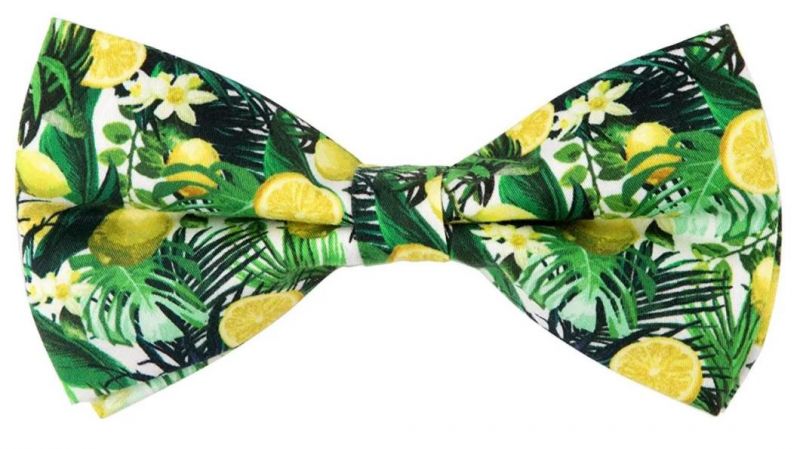 Custom Patterns Polyester Fabric Dog Bow Tie