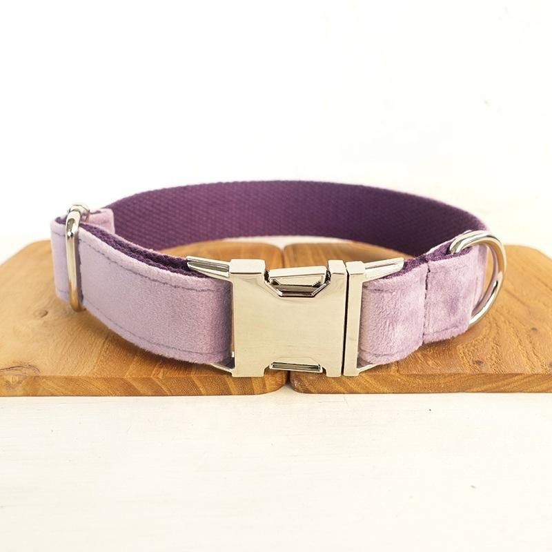 Velvet Dog Collar and Leash Puppy Amazona Soft Cozy Dog Collar Luxury Best Selling Pet Supplies Dropshipping Large Dog Collar