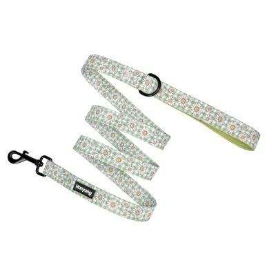 2cm Polyester Customized Lead Professional Supplier Dog Harness Matching Leash Pet Supply