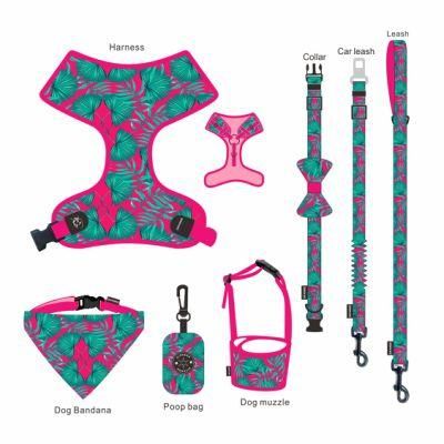 Dog Fashion Collar Custom Dog Luxury Collar Fit All Size Dogs Fashion Perros Harness Pet Products Collar and Leash Set