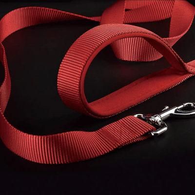 Strong and Durable Traditional Easy to Use Nylon Dog Leash