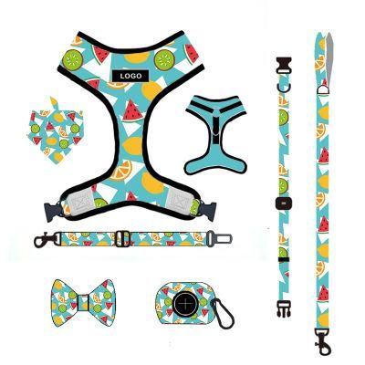 Adjustable Dog Accessories Sublimation Dog Harness Set Custom Personalized Pet Supplies