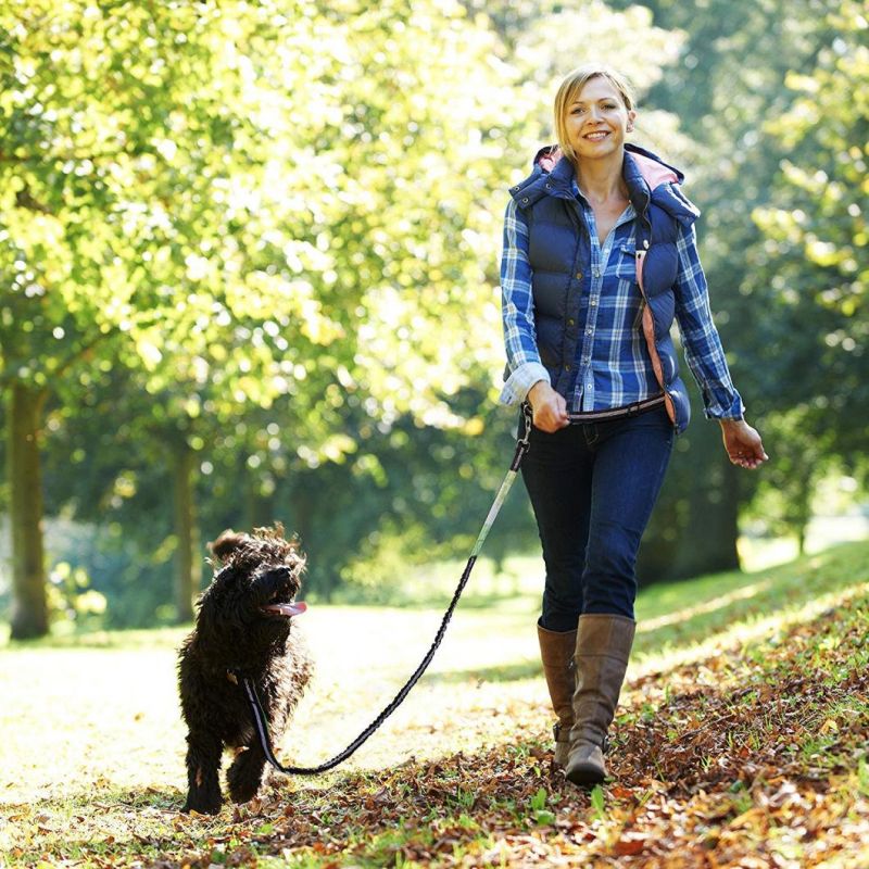 Retractable Hands Free Dog Leash – Dual Handle Bungee Waist Leash for up to 150 Lbs Large Dogsby Paw Lifestyles