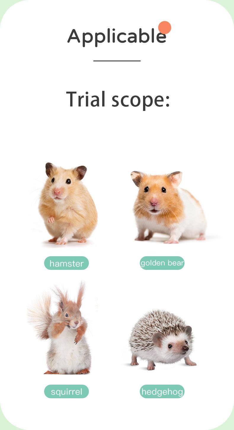 Small Pet Products Freeze-Dried Probiotic Corn Hamster Snacks