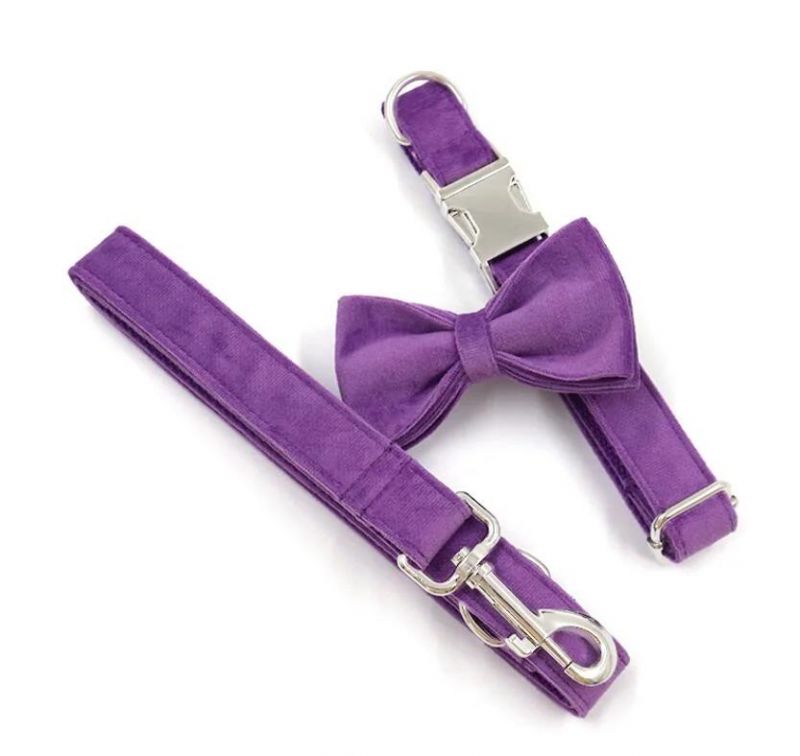 Pet Supplies Factory Best Price High End Dog Collars Puppy Training Collars Soft Purple Velvet Dog Leash Bow Tie