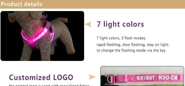 Pet Accessories LED Night Dog Collar