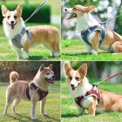 Door to Door Dog Harness and Collar Dog Harness Kurgohk Dog Harness
