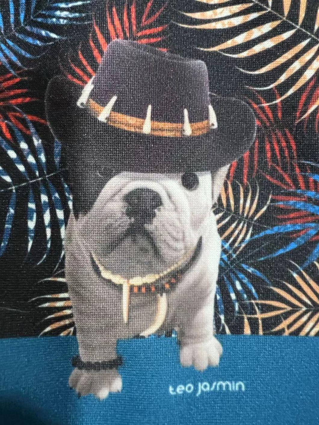 Wholesale Pet Accessories Fashion Designer Dog Clothes