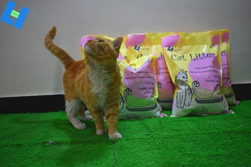 Cat Product: Tofu Cat Litter
