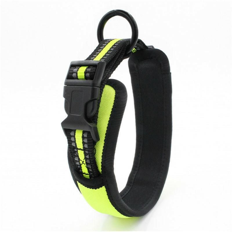 Large Dog Collar with Neoprene Lining and Reflective Stripes