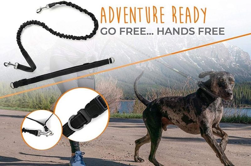 Upgraded Shock-Absorbing Dog Lead Safe Retractable Dog Leash
