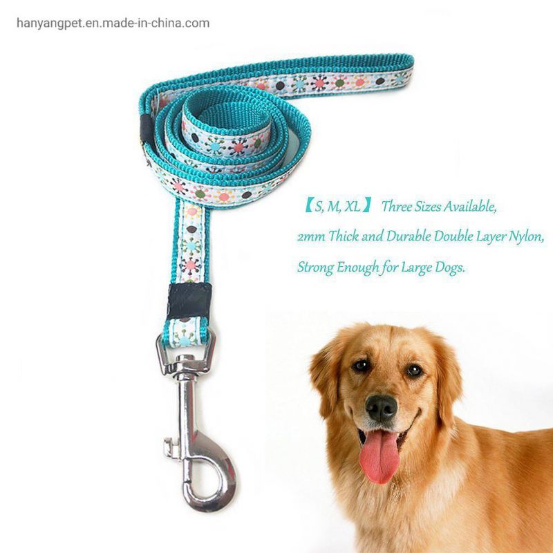 Wholesale Quick Release Safety Dog Leash Matching Collar for Walking