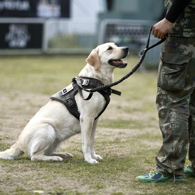 Tactical Dog Harness and Bungee Dog Leash Set