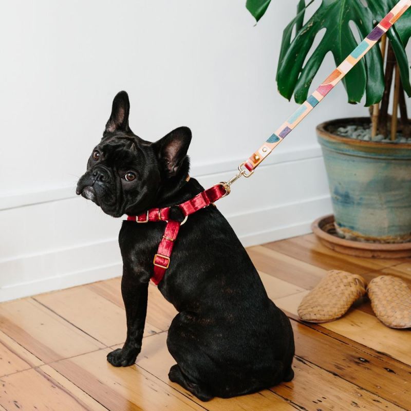 Velvet Non-Pull Dog Harness Wholesale Dog Harness