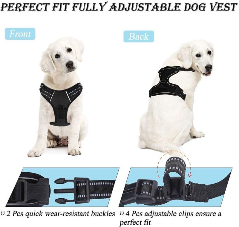 No-Pull Pet Harness with a Matching Dog Leash