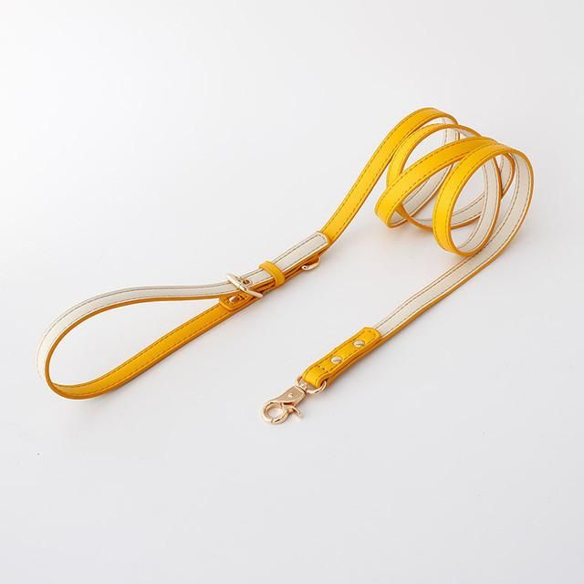 Hot Sale Luxury All Seasons High Quality Leather Eco-Friendly Fashion Pet Dog Leashes