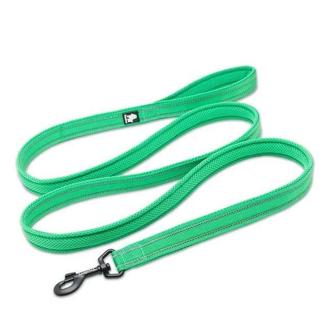 High Guarantee Supply Adjustable Pet Leash Colourful