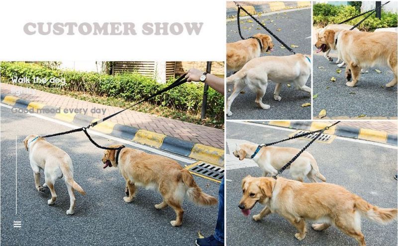 Enhanced Comfort Dual Bungee Dog Leash Double Dog Lead with Double Handle for Great Control