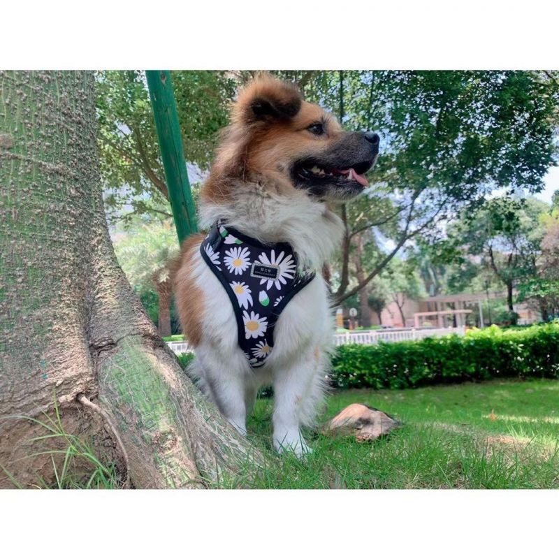 Popular Custom Design Dog Harness with Matching Collar Leash Bow Tie and Bandana Set Neoprene Reversible Dog Harness Vest