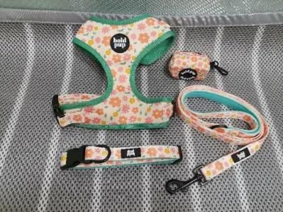 Fast Delivery Time Customized Design Pet Products Dog Harness
