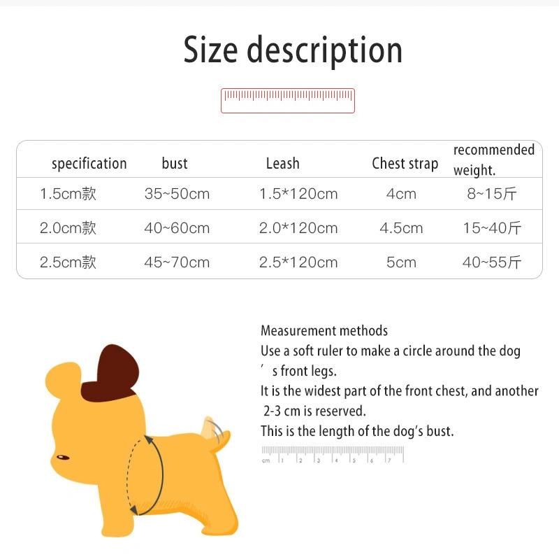 OEM Small Order All Kinds of Full Sets Dog Harness/Pet Leash