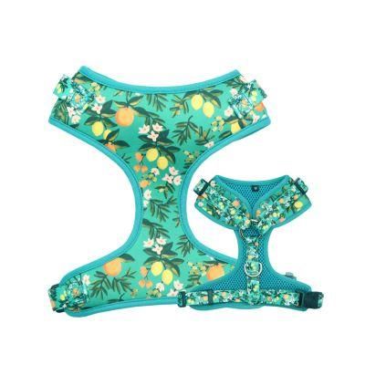 High Performance Customized Personal Logo Guangdong Professional Supplier Wholesale Dog Collar Pet Harness