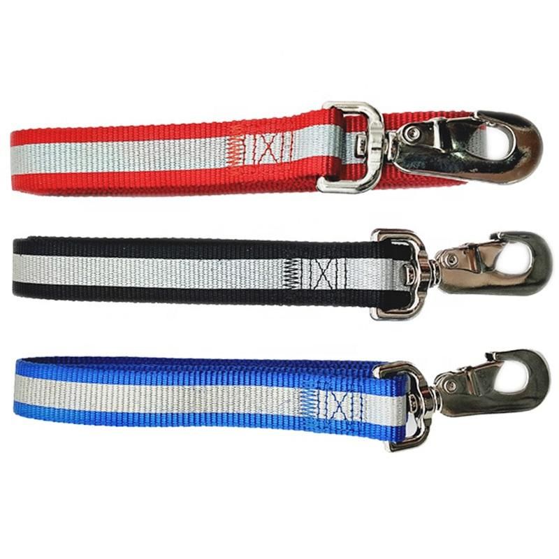 Custom Pet Rope Personalized Logo Reflective Nylon Dog Leash