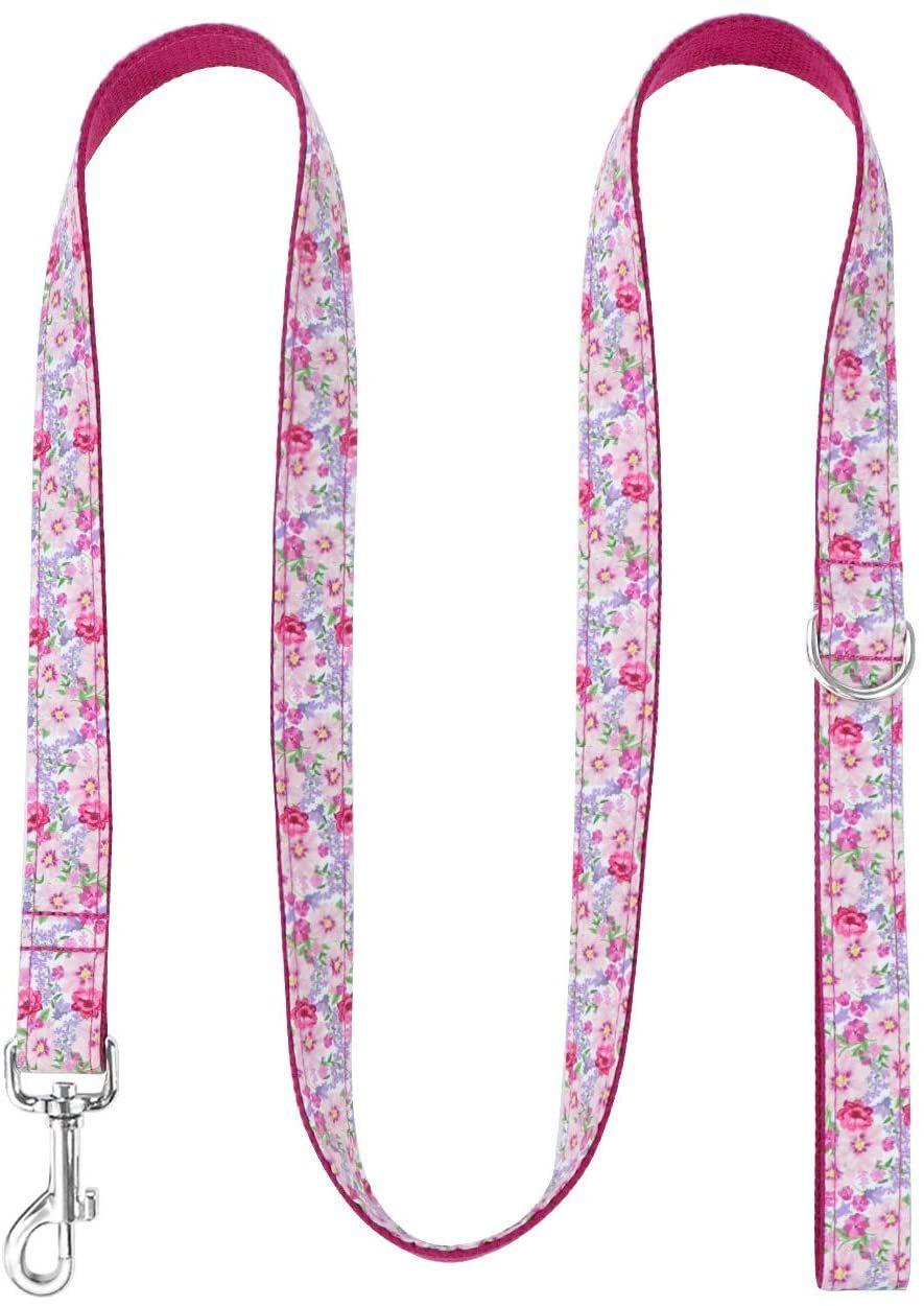 Super Adorable Prints Heavy Duty Dog Leash, Strong Western Leashes