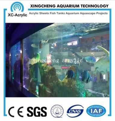 Customized UV Acrylic Fish Tank of Aquarium Project